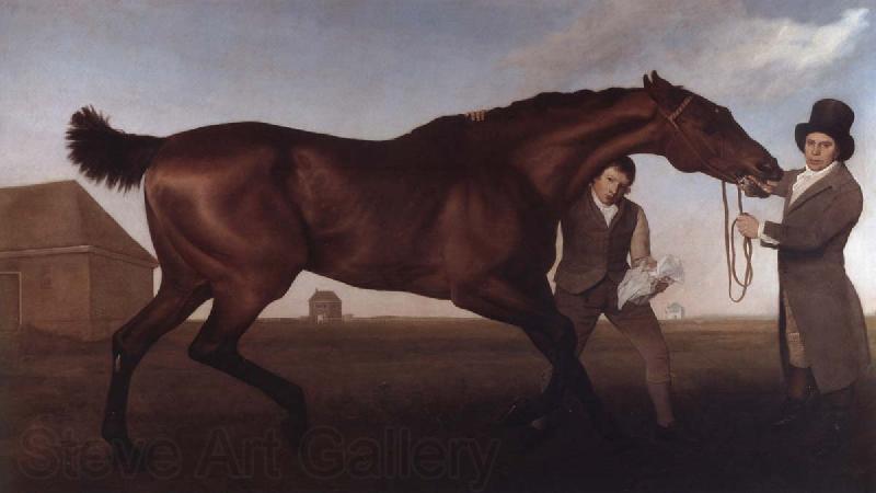 George Stubbs Hambletonian, Rubbing Down Spain oil painting art